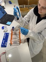 Die Angebote für Workshops und Besuche von Schulklassen sind gefragt.